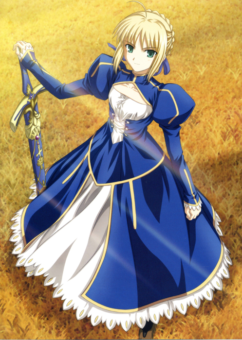 Fate/stay night Saber Cosplay Costume